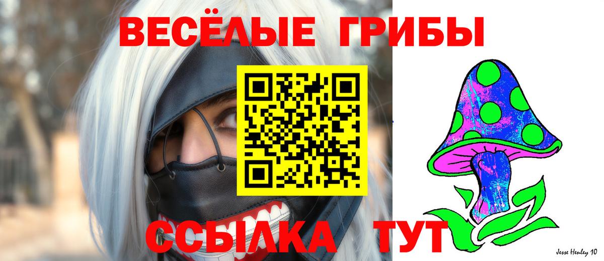 Псилоцибиновые грибы GOLDEN TEACHER Малгобек