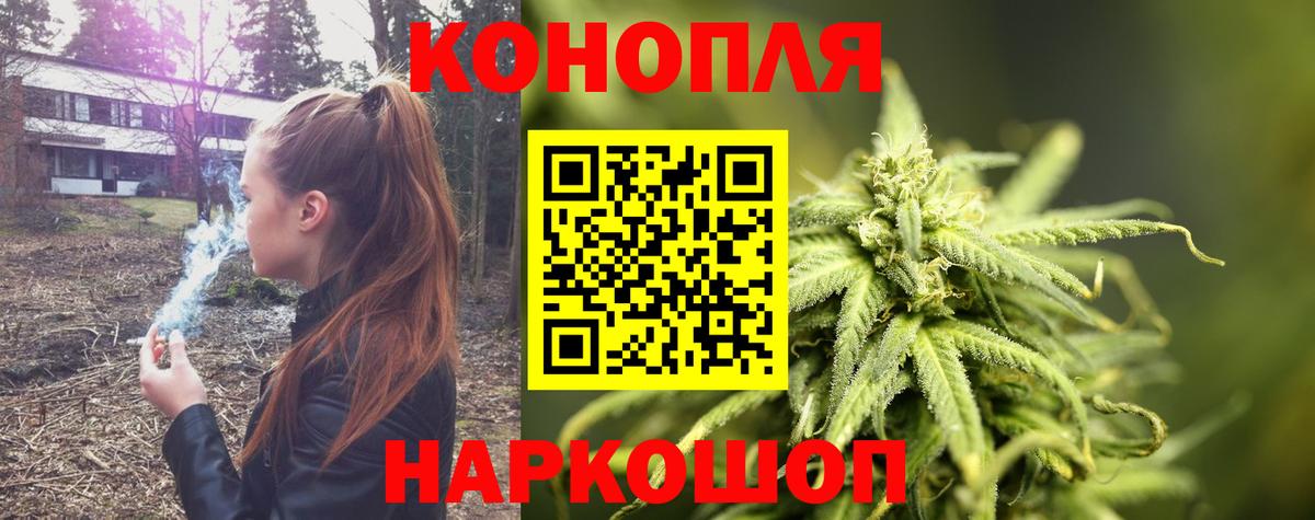 Бошки Шишки VHQ Малгобек